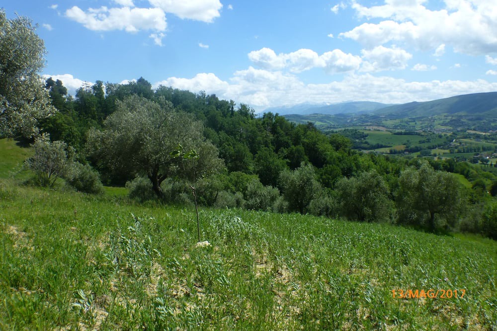 Photo of Outdoor in San Severino Marche
