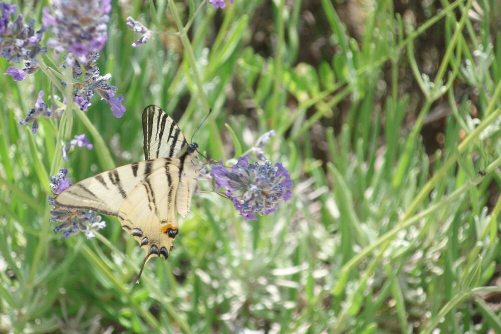 Photo of Outdoor in Ripe San Ginesio