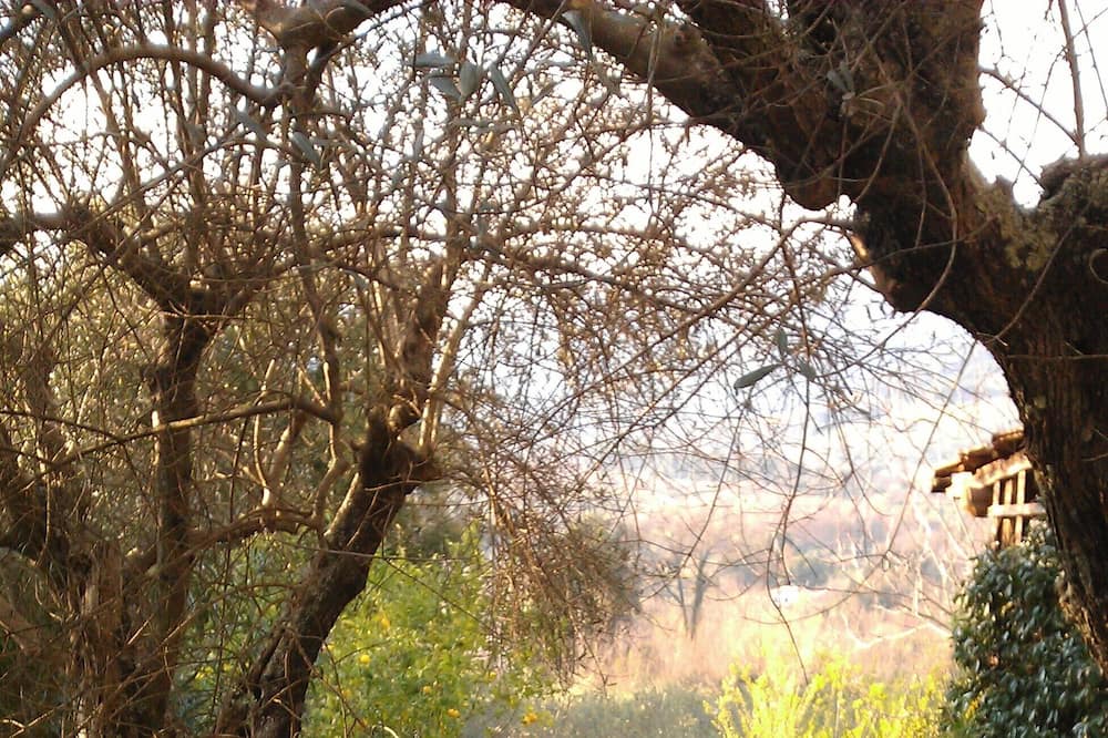 Photo of Outdoor in Acquiaviva