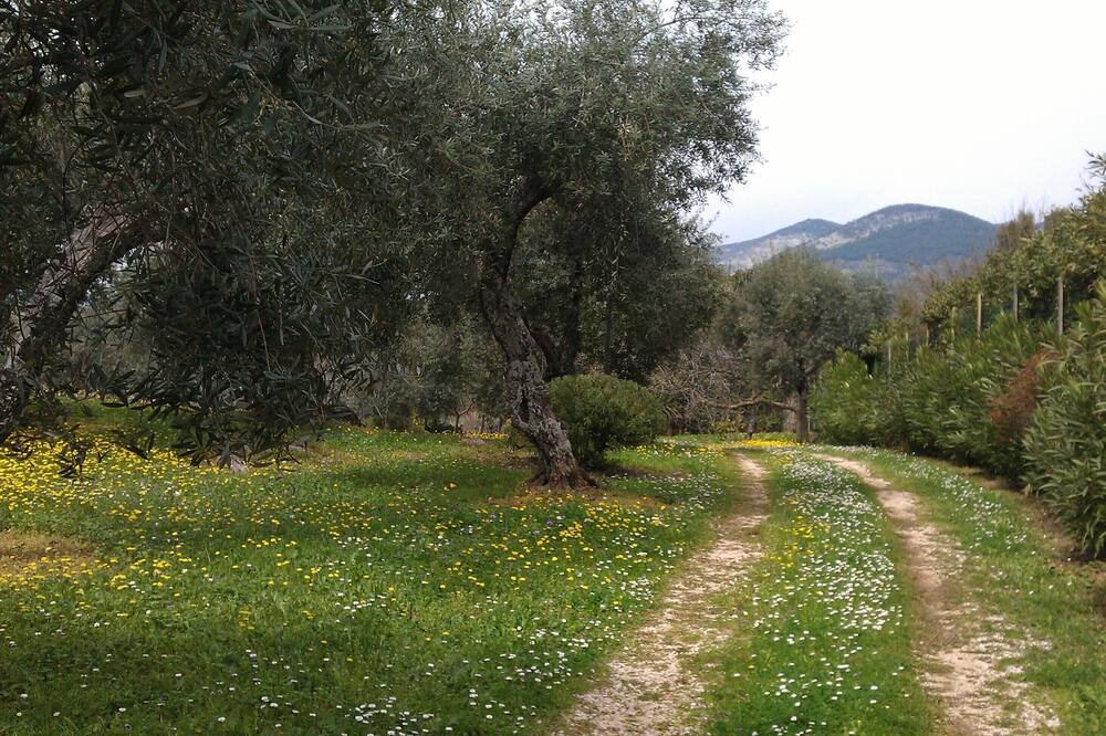 Photo of Outdoor in Acquiaviva