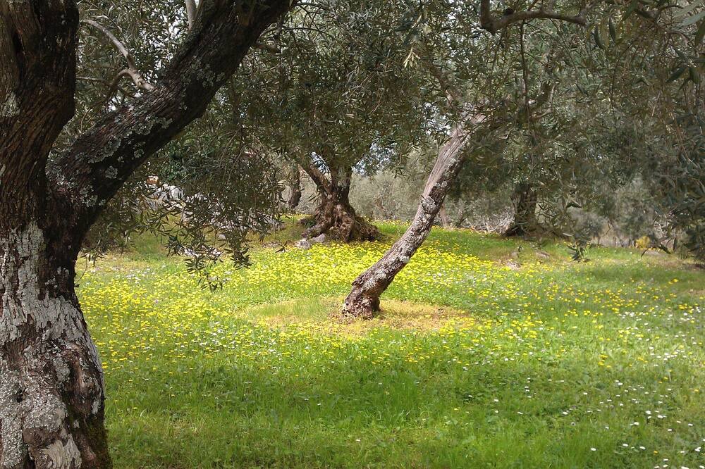 Photo of Outdoor in Acquiaviva