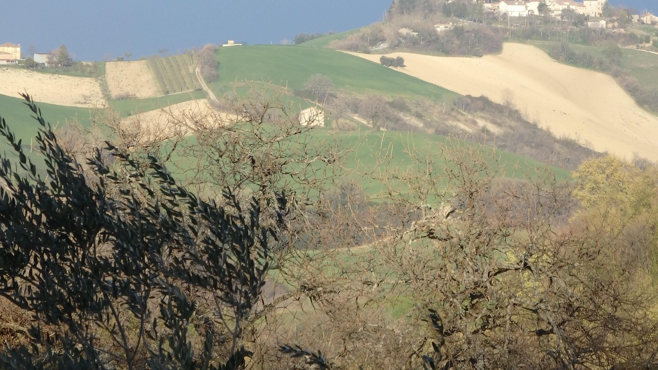 Photo of Others in Montelparo