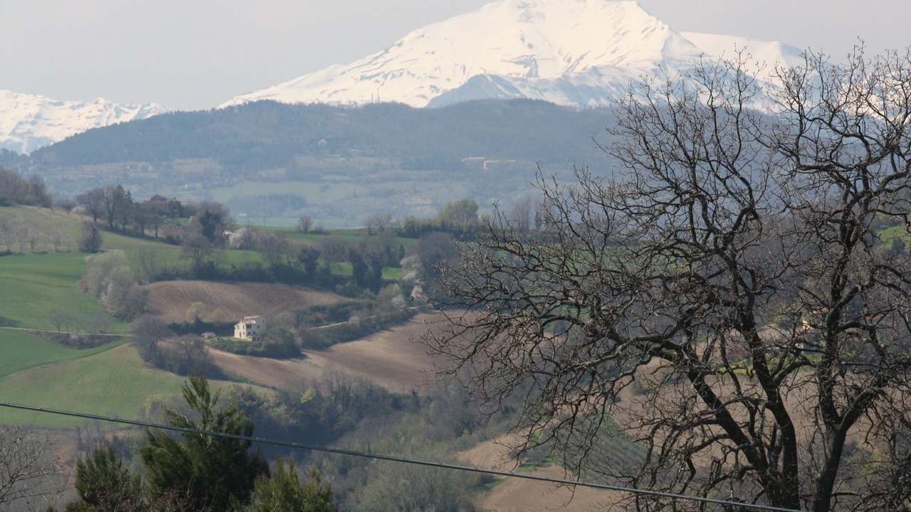 Photo of Others in Montelparo