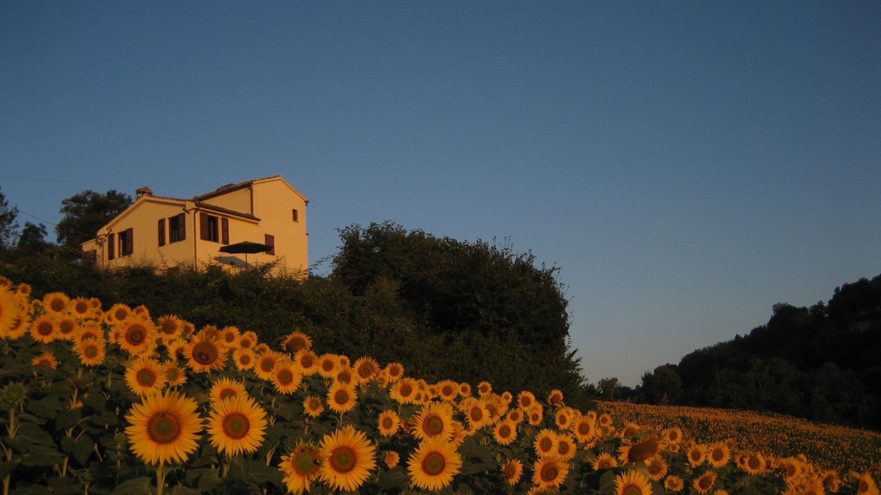Photo of Outdoor in Montelparo