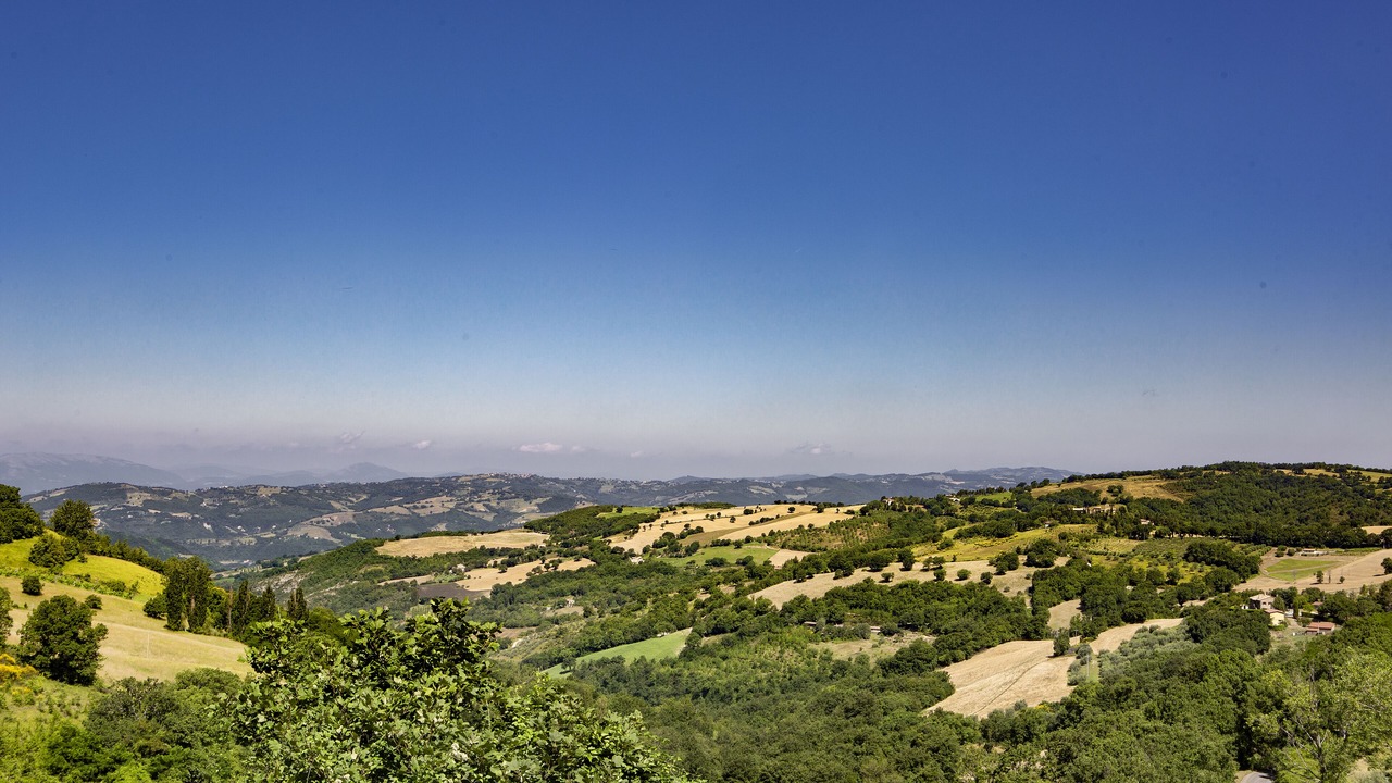 Photo of Others in San Presto