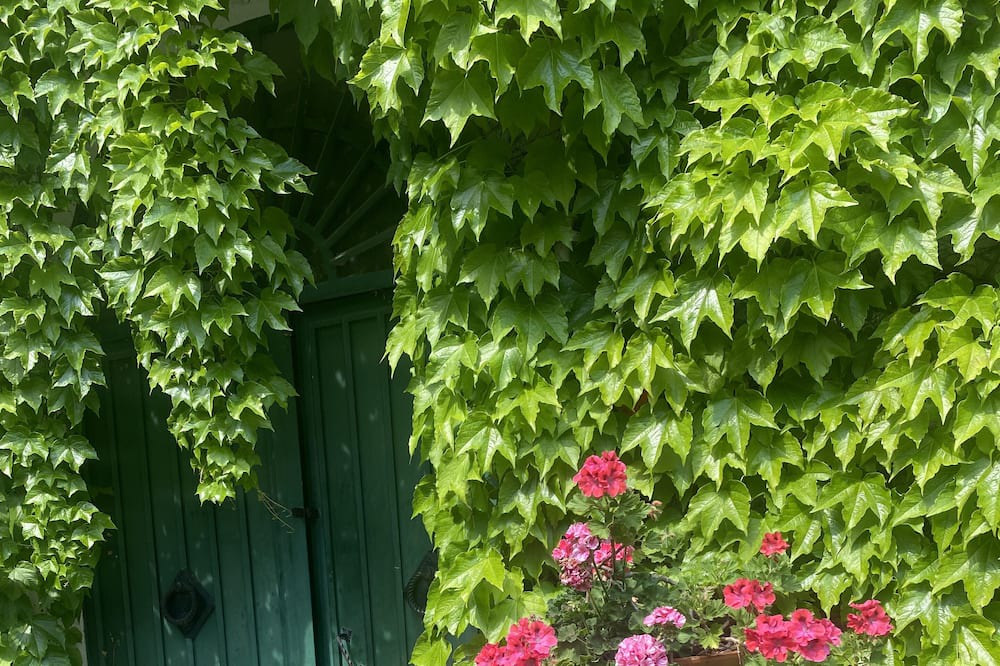 Photo of Outdoor in Battipaglia