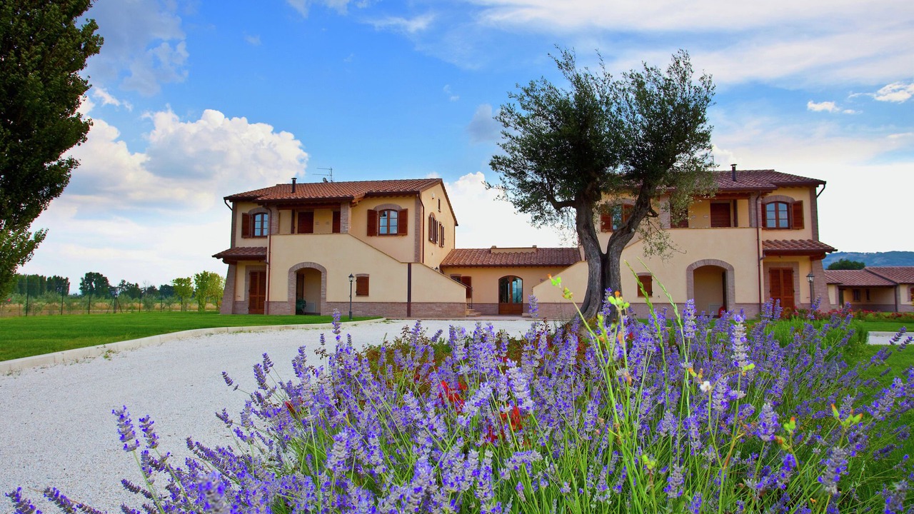 Photo of Outdoor in Cannara