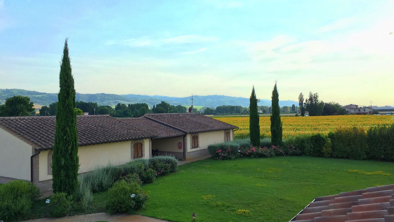 Photo of Outdoor in Cannara