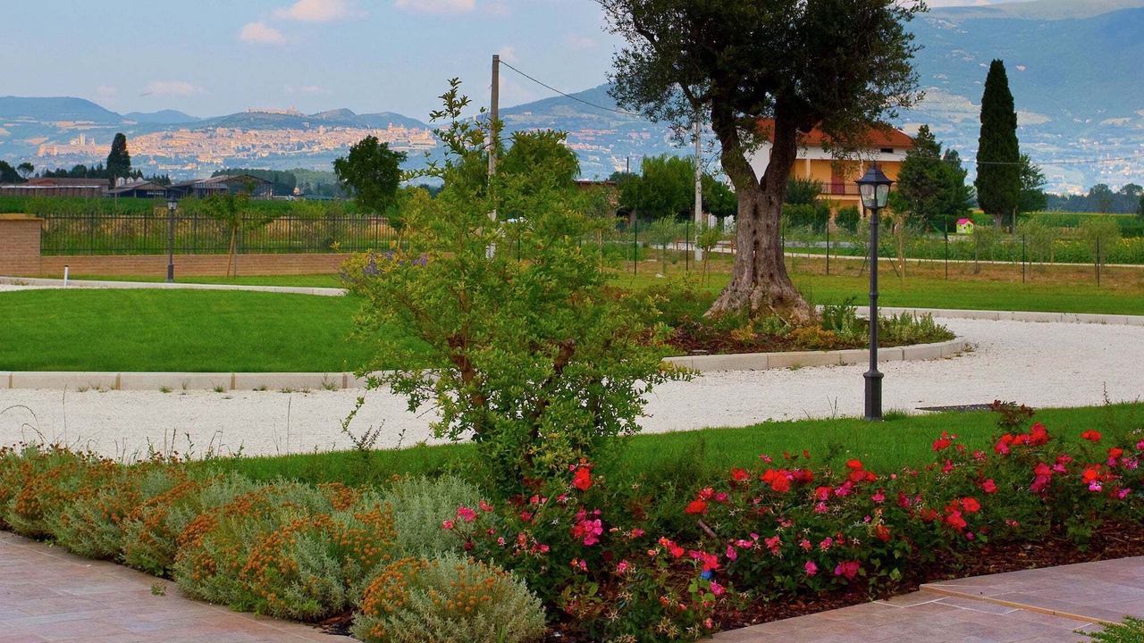 Photo of Outdoor in Cannara