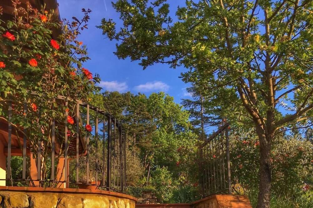 Photo of Outdoor in Subbiano