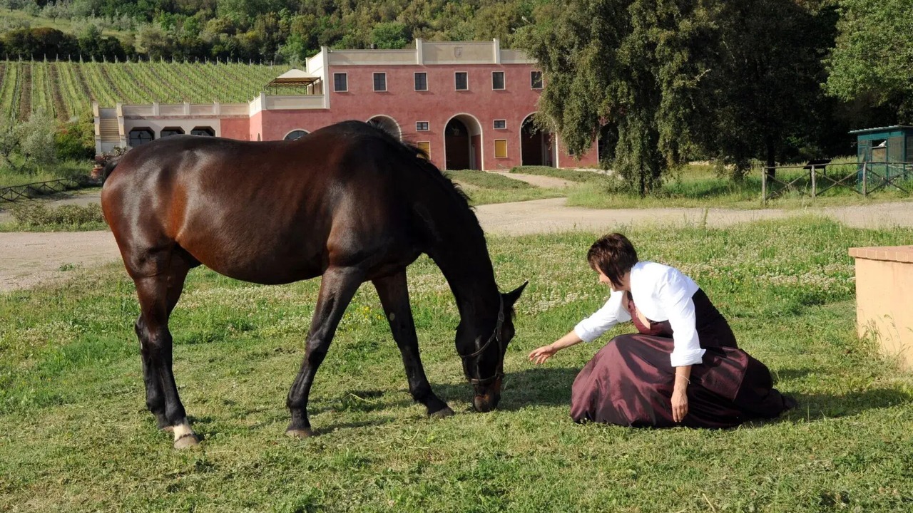 Photo of Others in Gavorrano