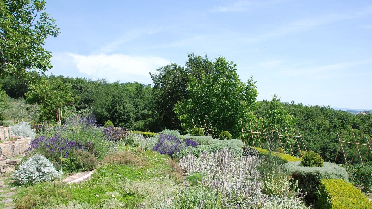 Photo of Outdoor in Colle di Val d'Elsa