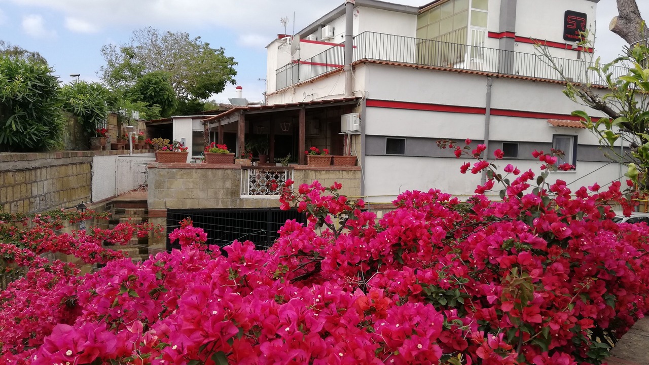 Photo of Outdoor in Licola