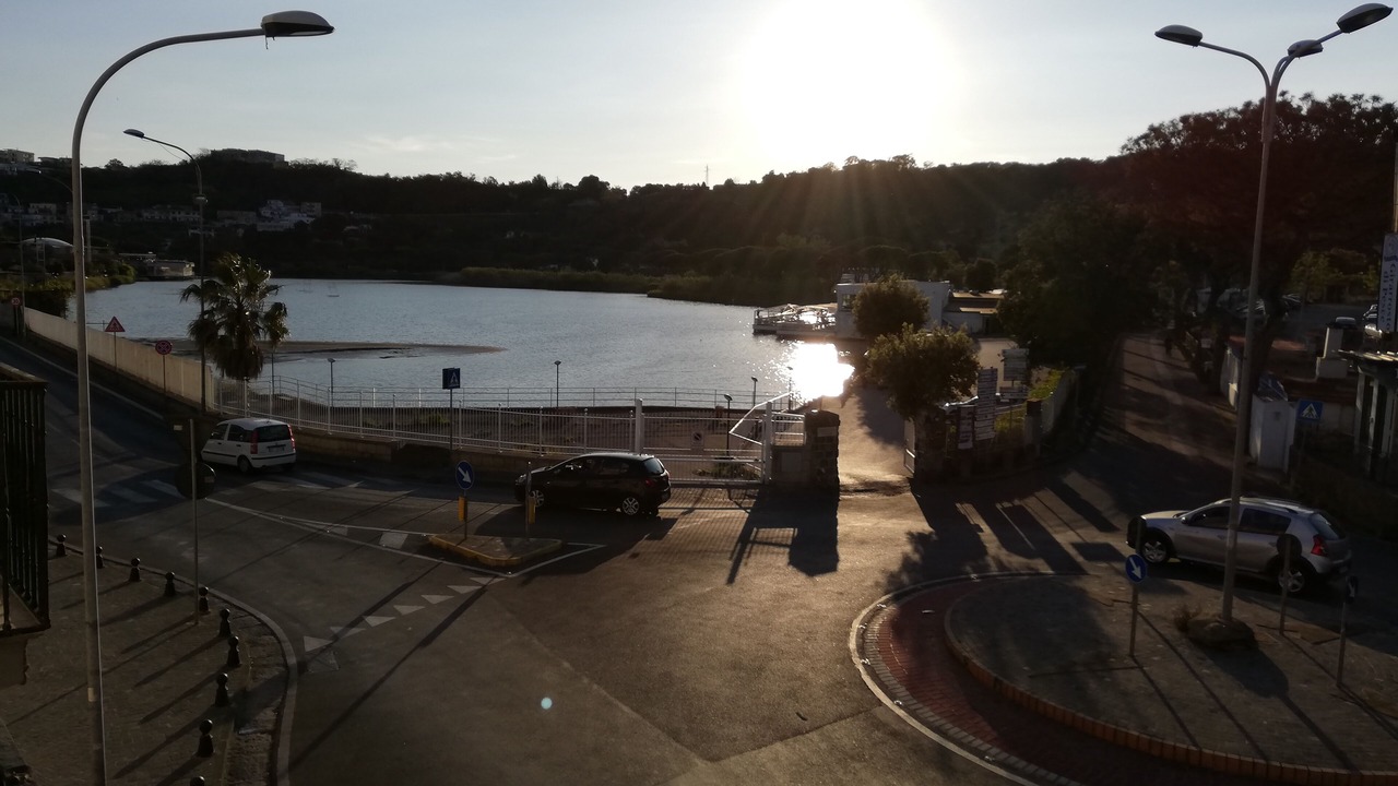 Photo of Outdoor in Licola
