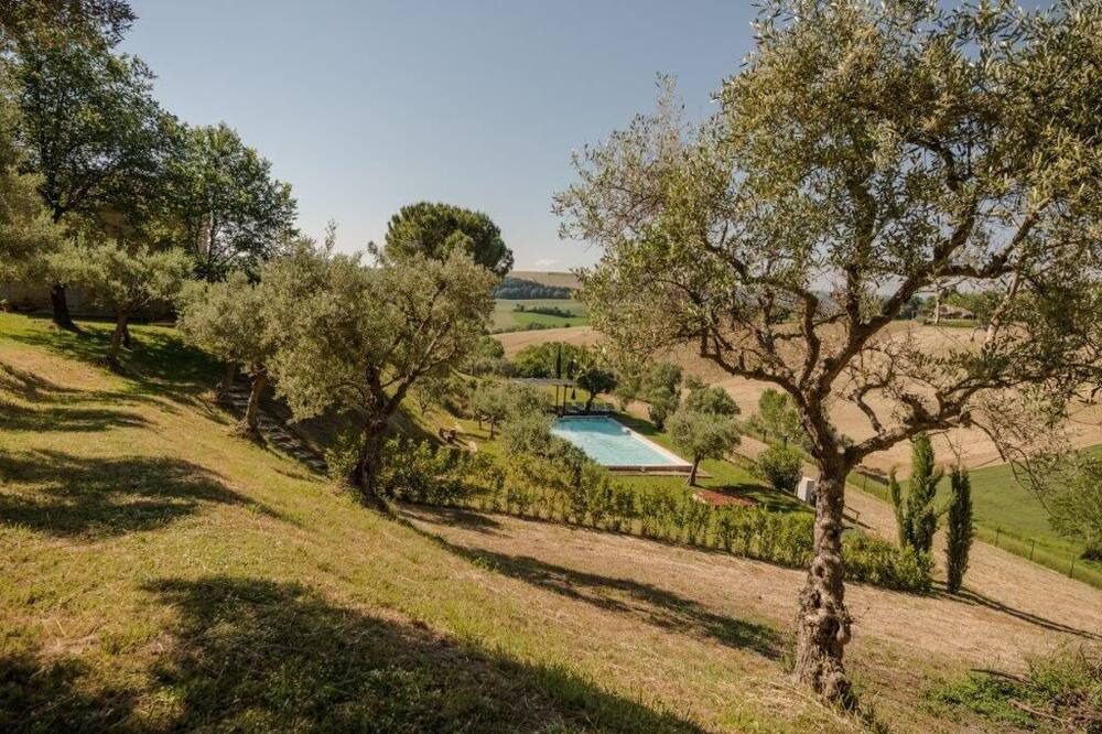Photo of Outdoor in Mogliano