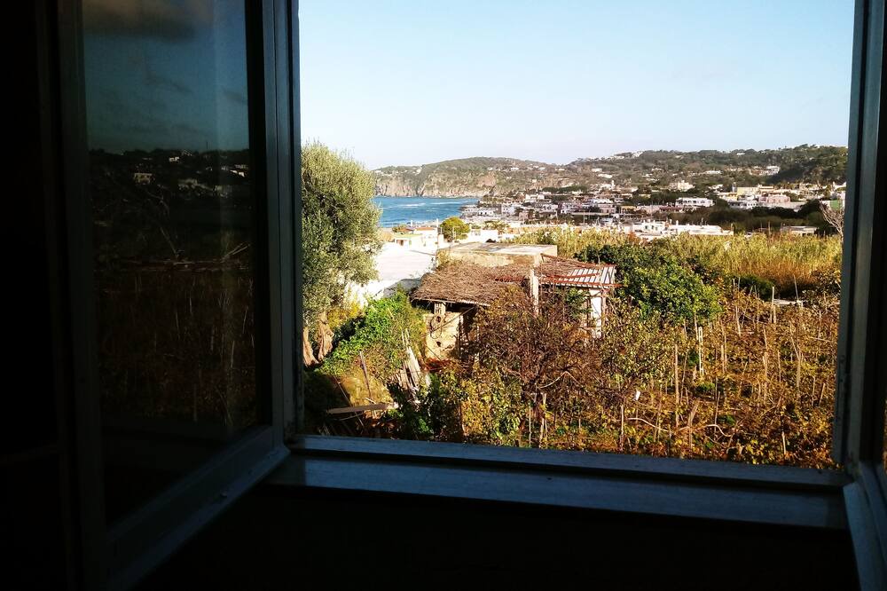 Photo of Patio Balcony in Succhivo