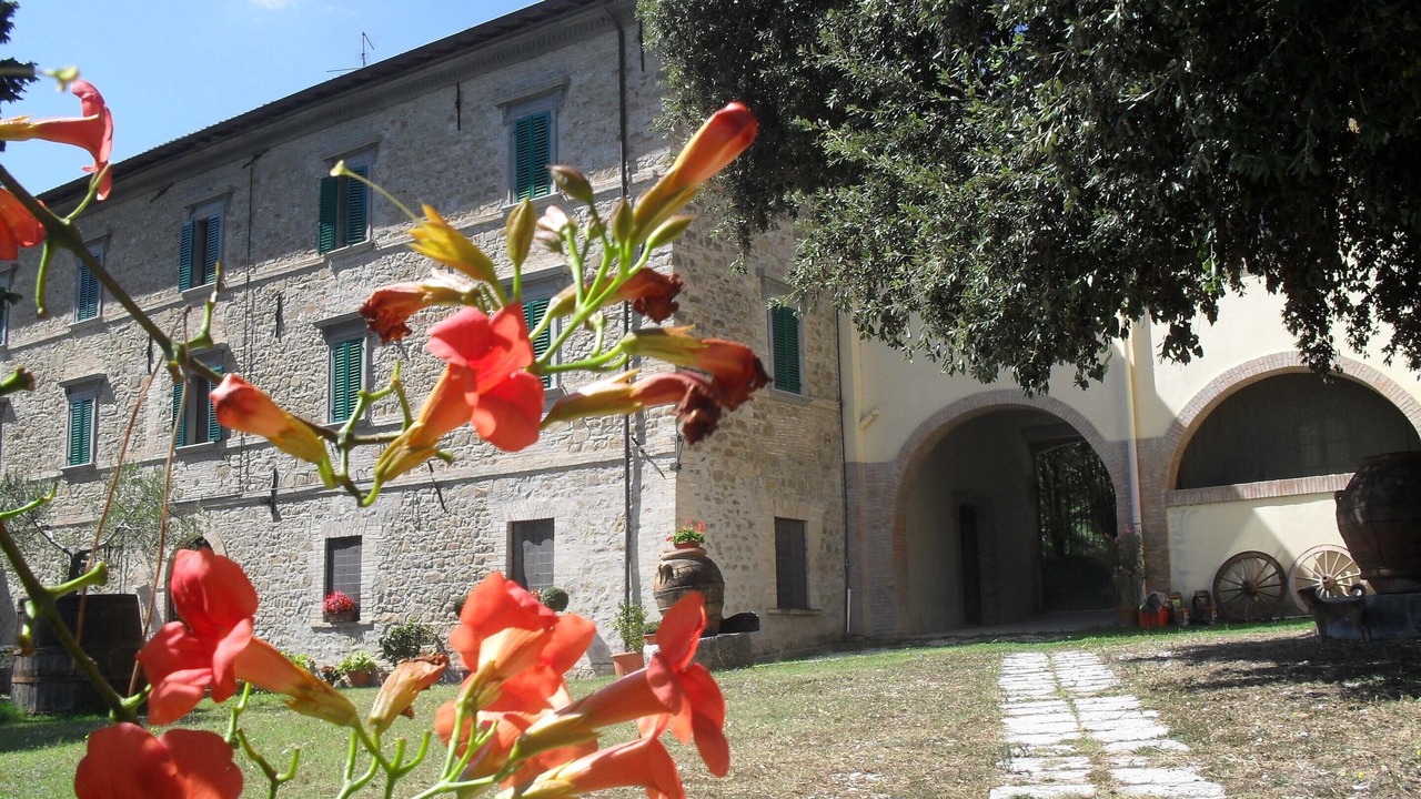 Photo of Outdoor in Gualdo Cattaneo