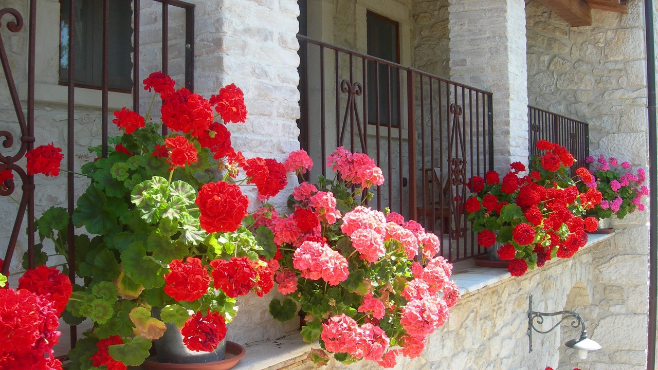 Photo of Patio Balcony in Abbateggio