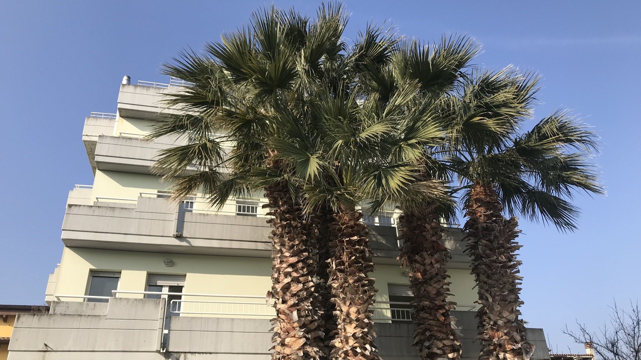 Photo of Outdoor in Martinsicuro