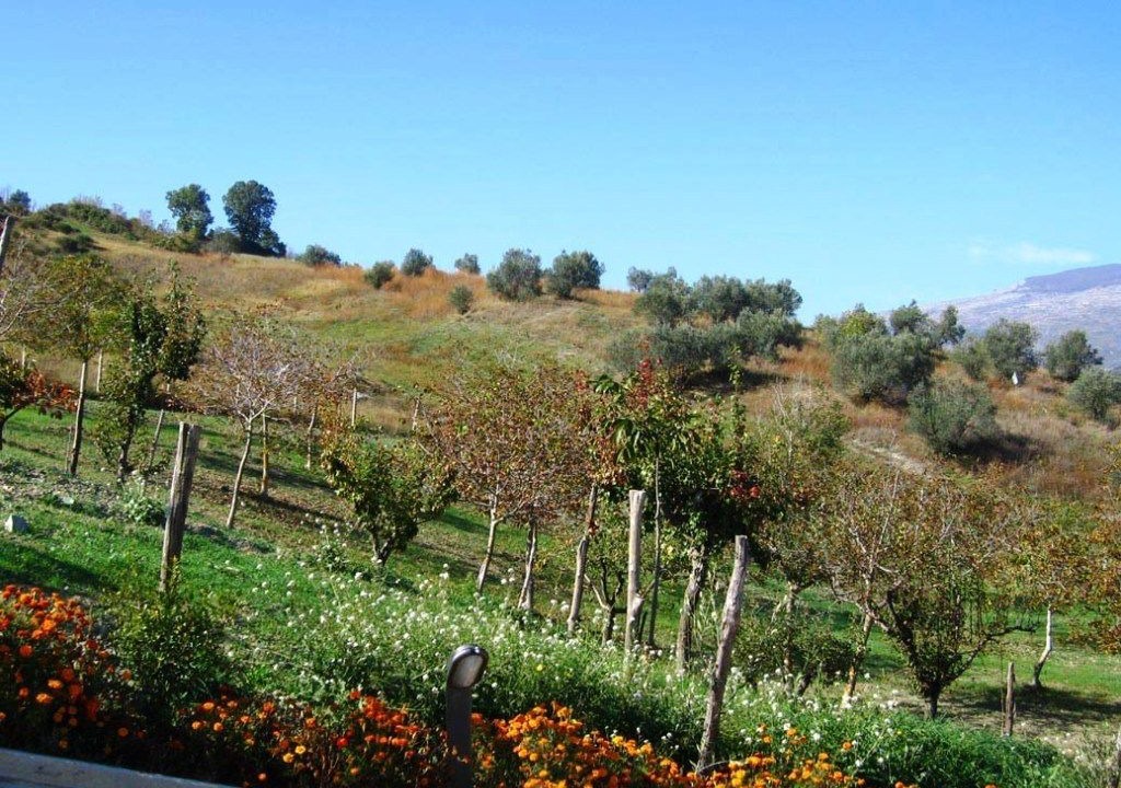 Photo of Outdoor in Agnone