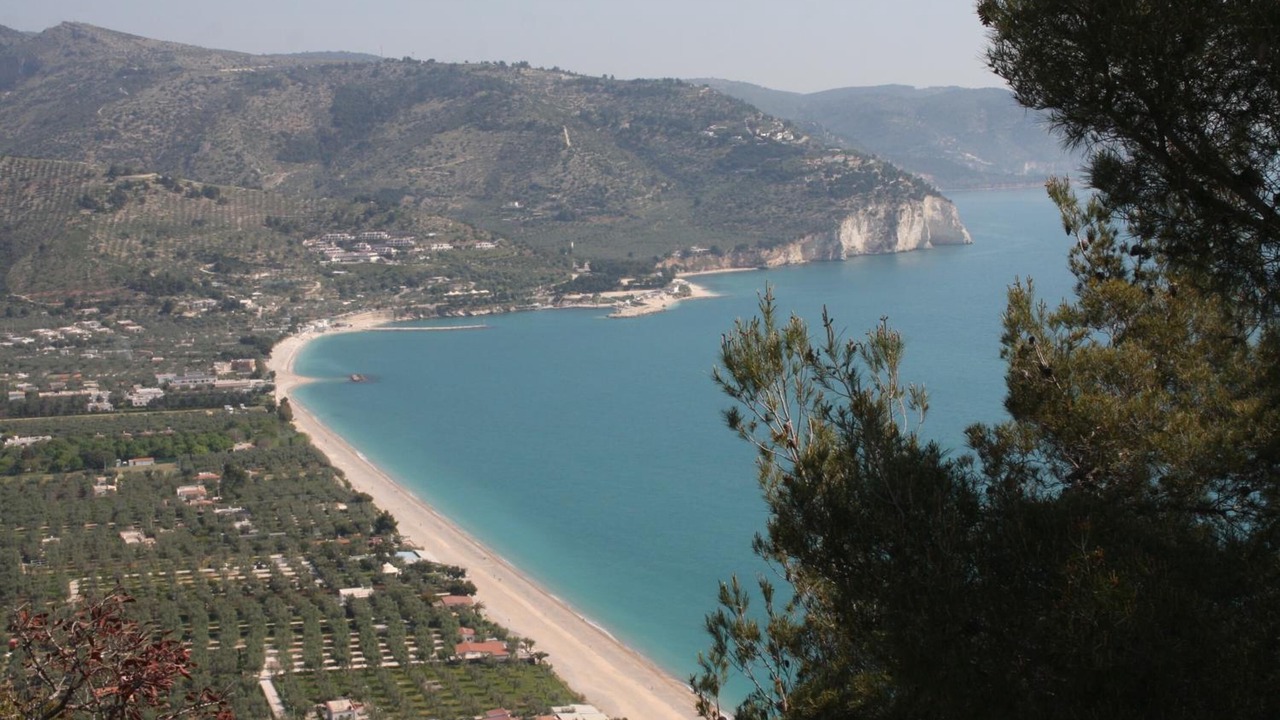 Photo of Others in San Giovanni Rotondo