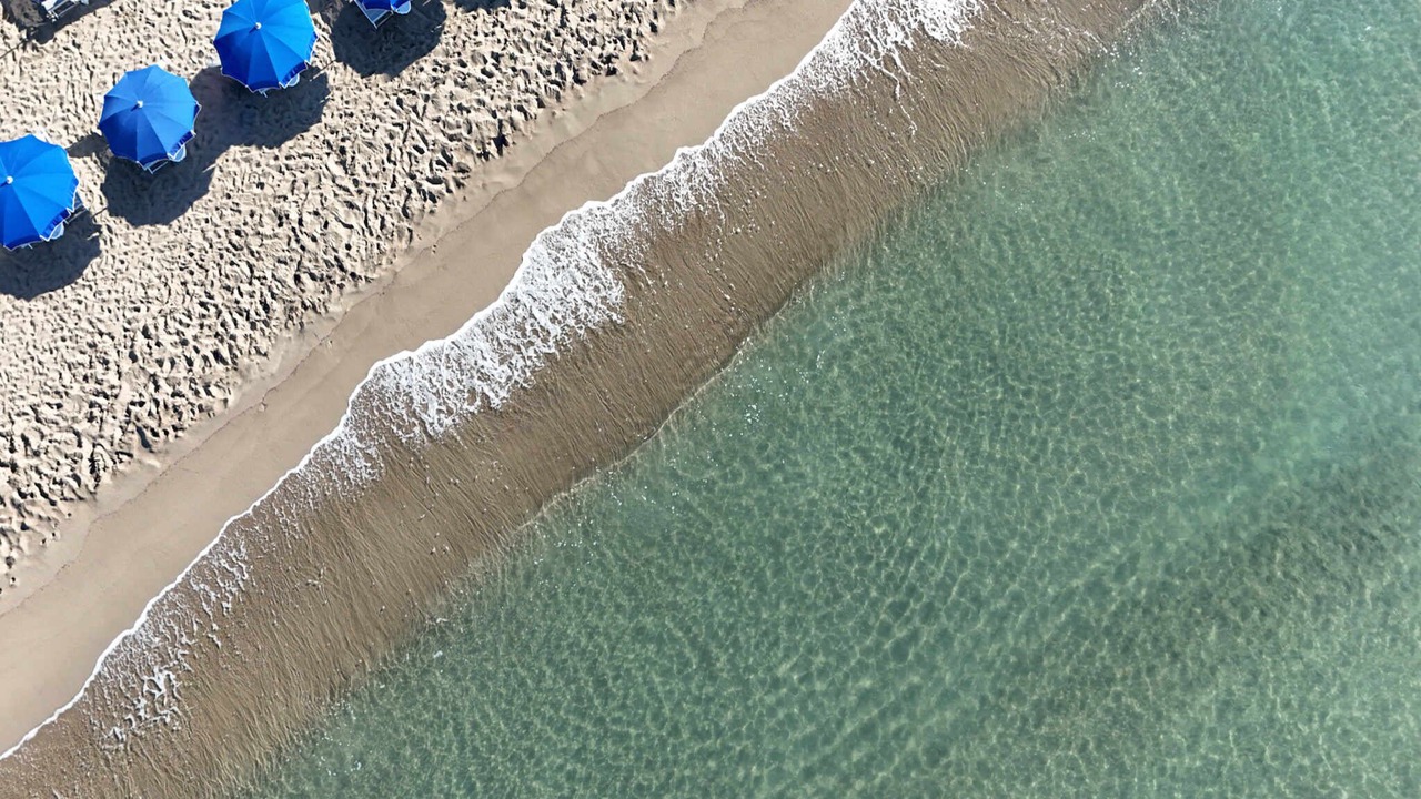 Photo of Others in Castiglione della Pescaia