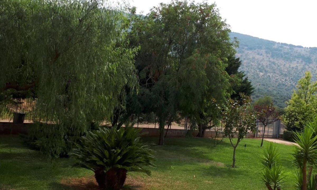 Photo of Outdoor in San Marco in Lamis