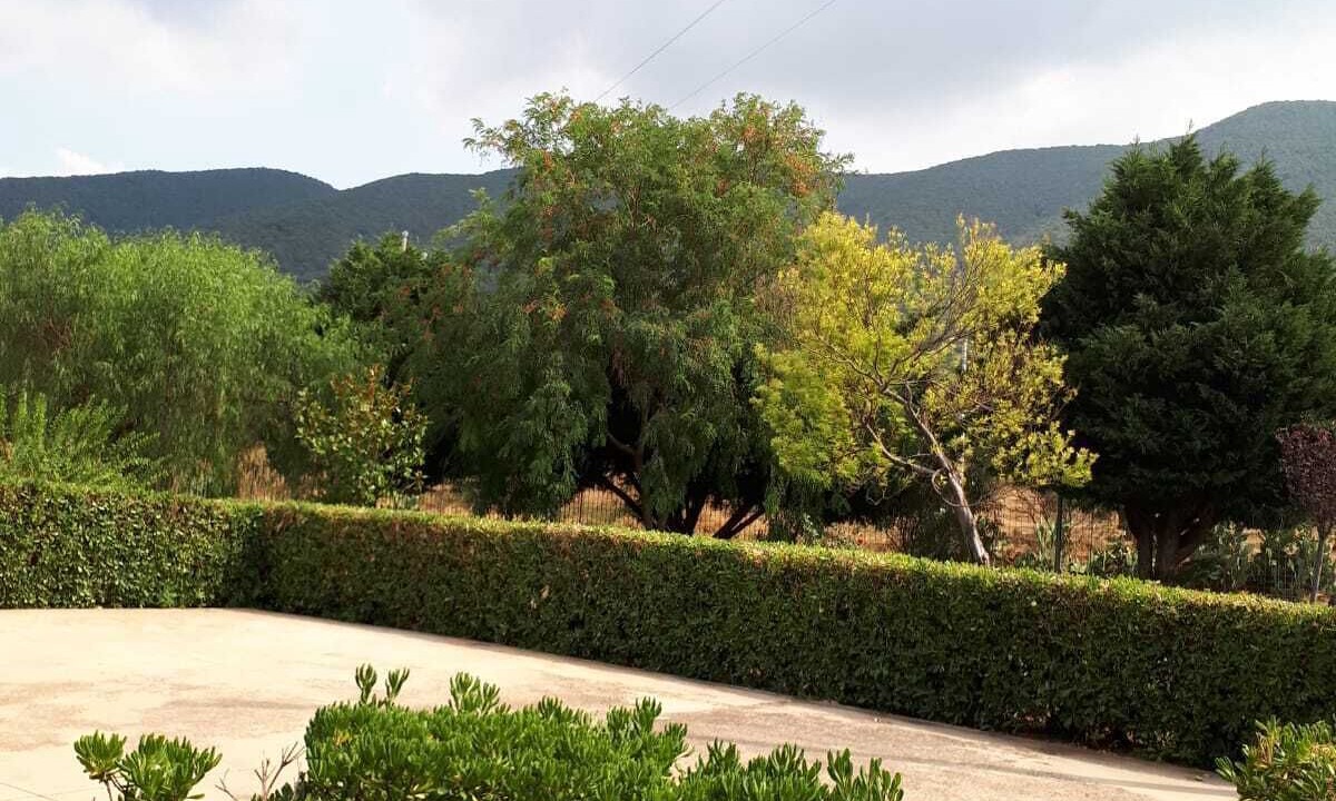 Photo of Outdoor in San Marco in Lamis