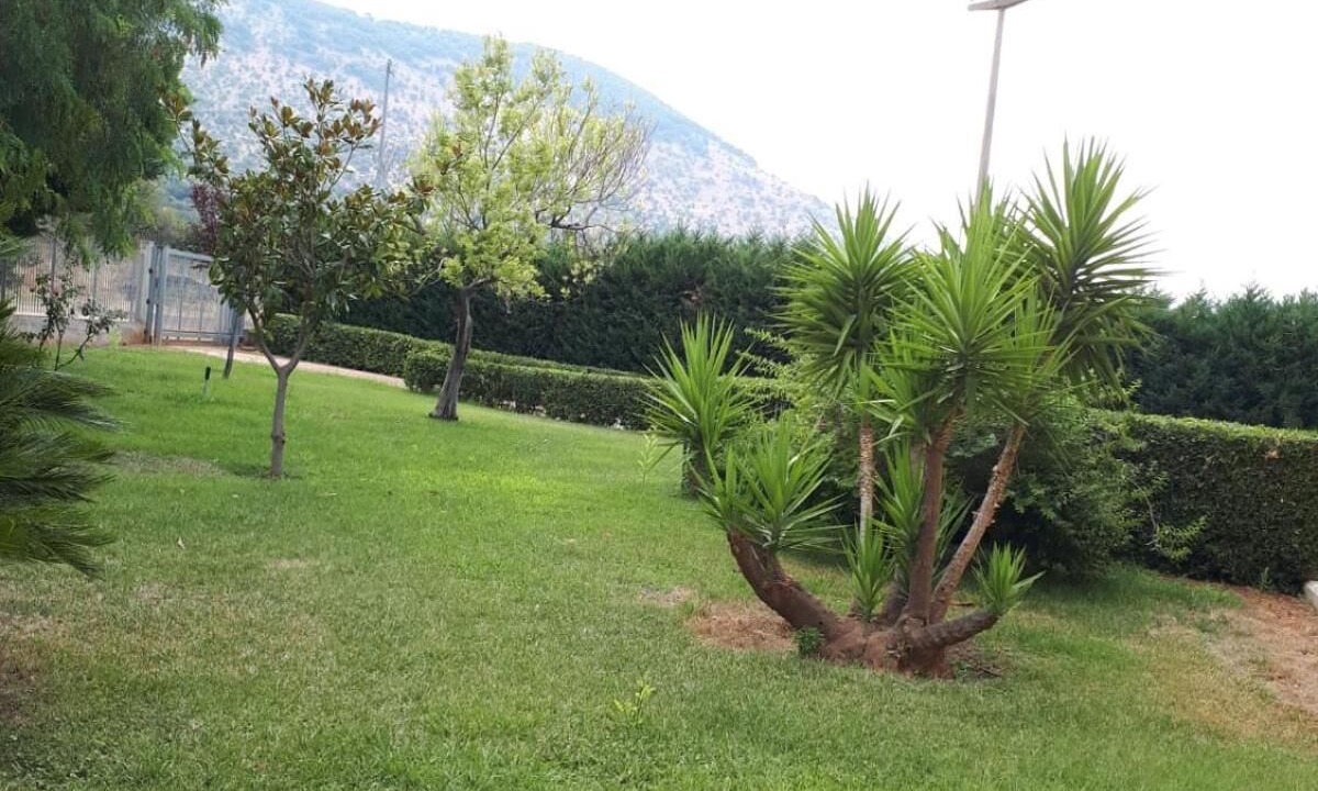 Photo of Outdoor in San Marco in Lamis