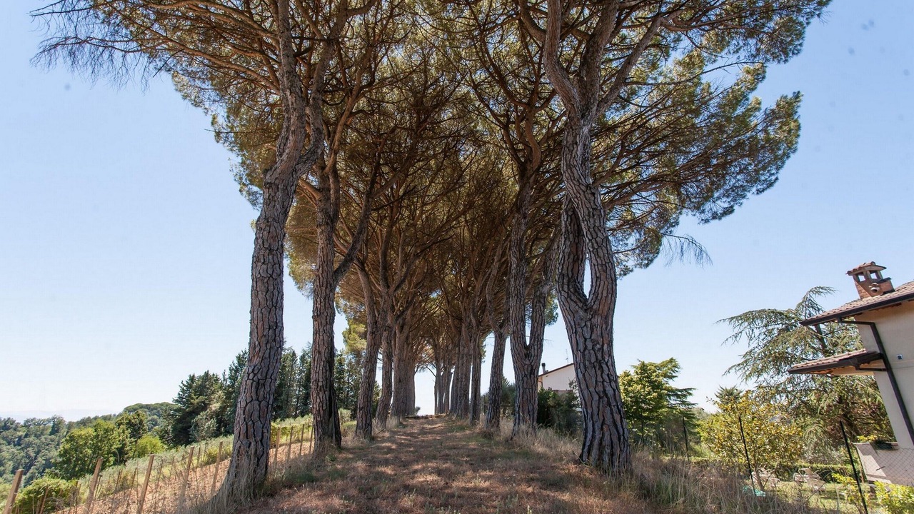 Photo of Outdoor in Ramazzano