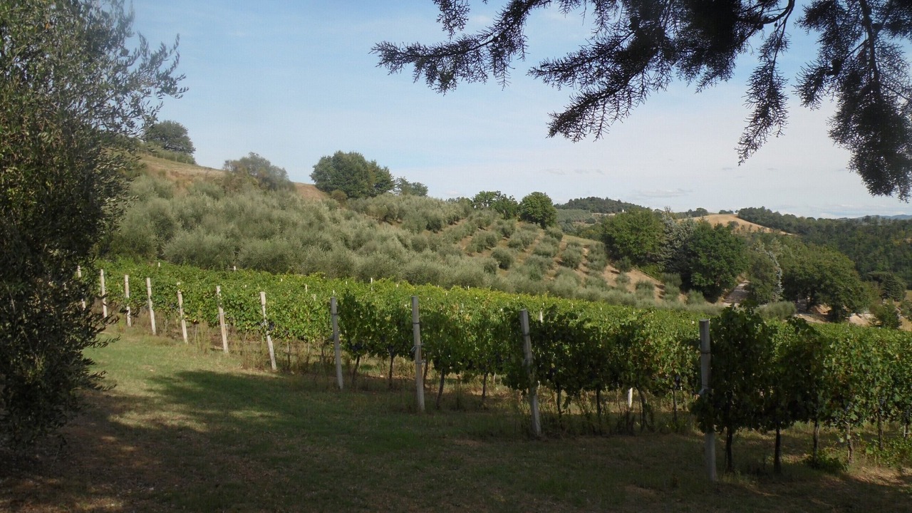 Photo of Outdoor in Ramazzano