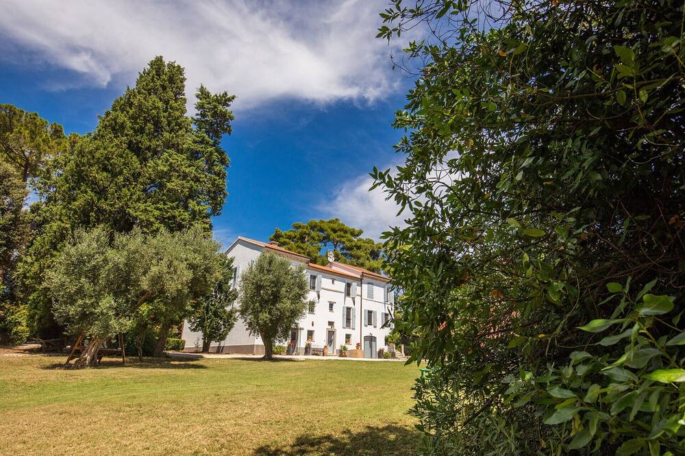 Photo of Others in Osimo