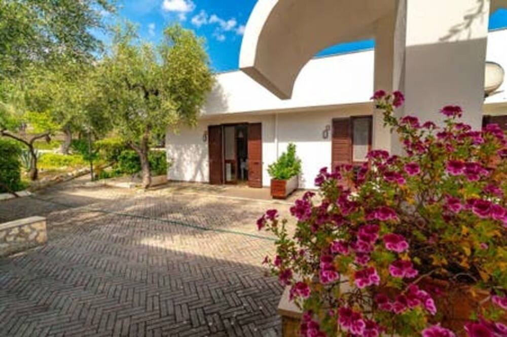 Photo of Outdoor in Mattinata