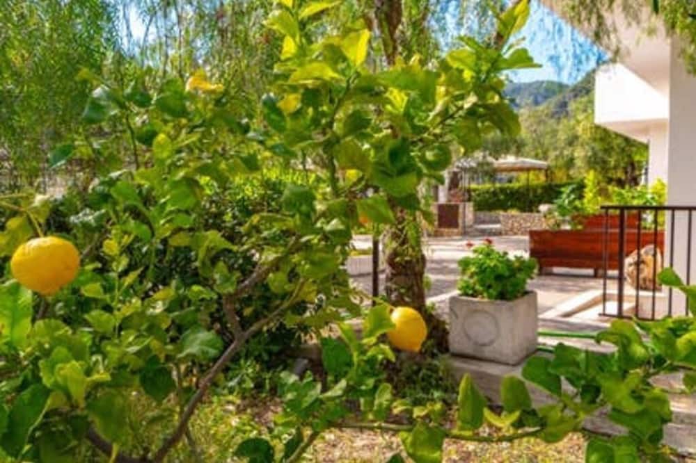 Photo of Outdoor in Mattinata