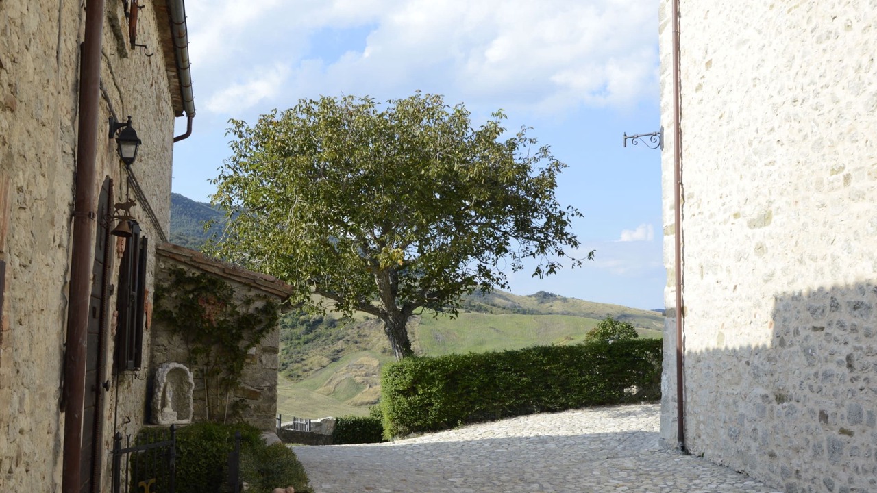 Photo of Outdoor in Monte Benedetto