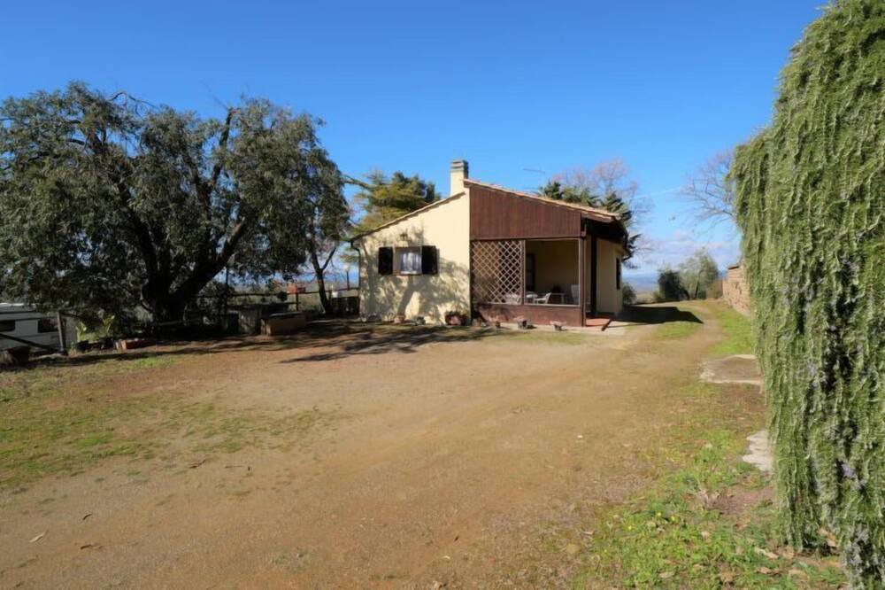 Photo of Outdoor in Scansano