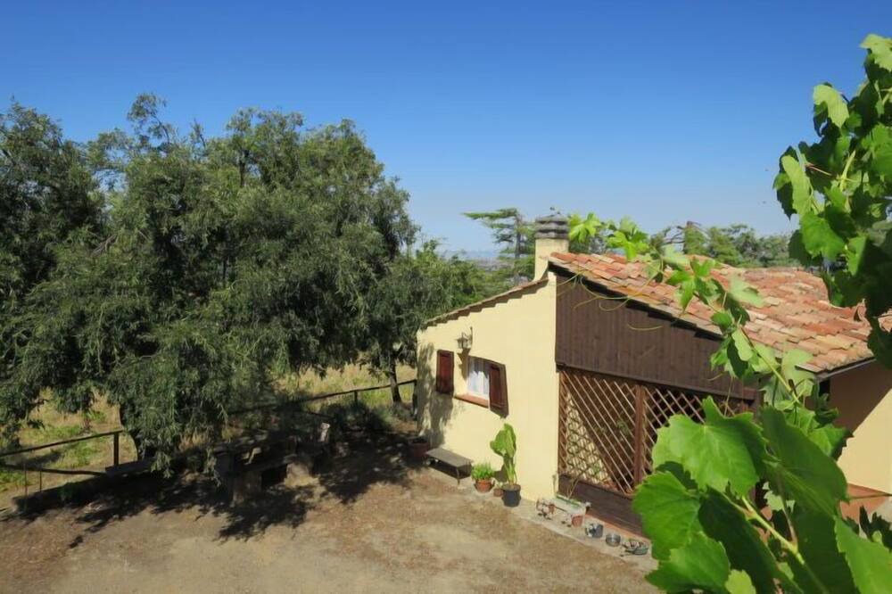 Photo of Outdoor in Scansano