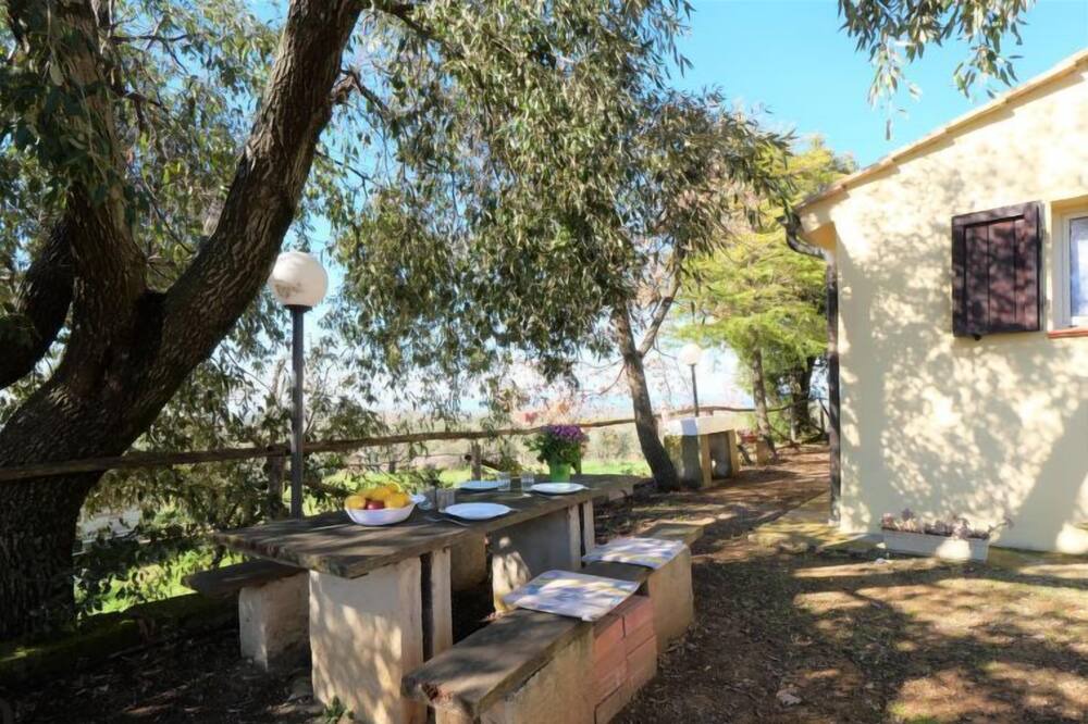 Photo of Outdoor in Scansano