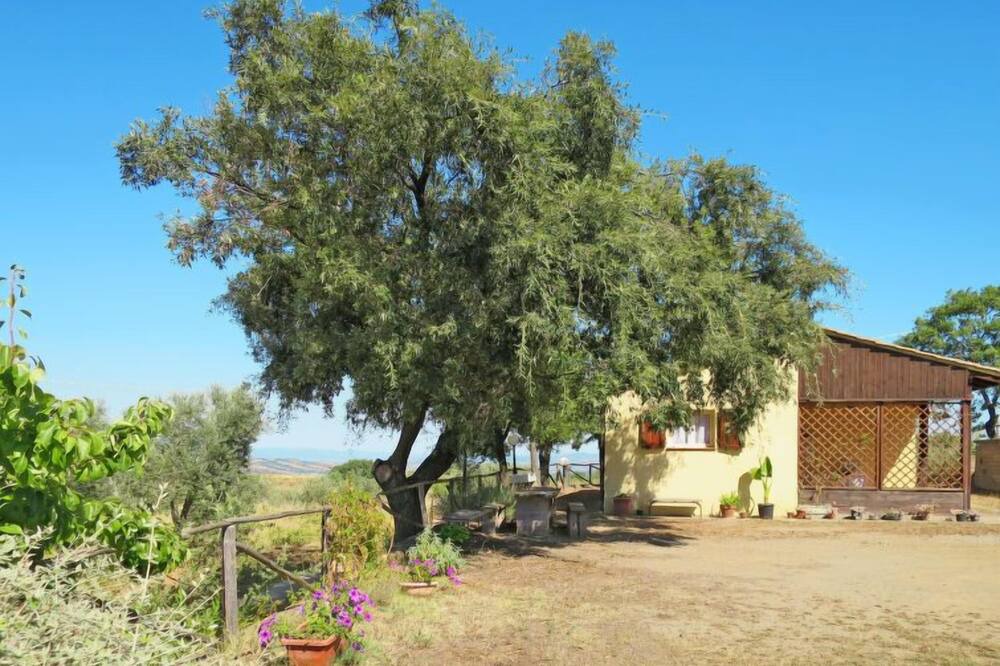 Photo of Outdoor in Scansano