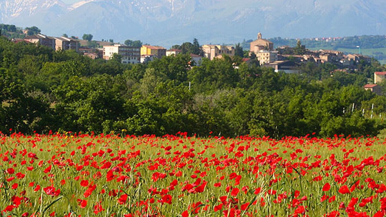 Photo of Outdoor in Colmurano