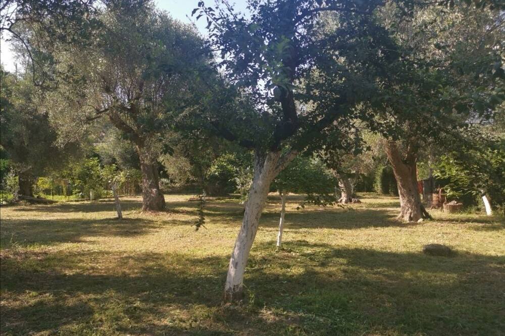 Photo of Outdoor in Policastro Bussentino