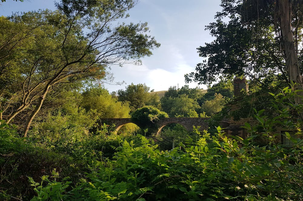 Photo of Outdoor in Grosseto