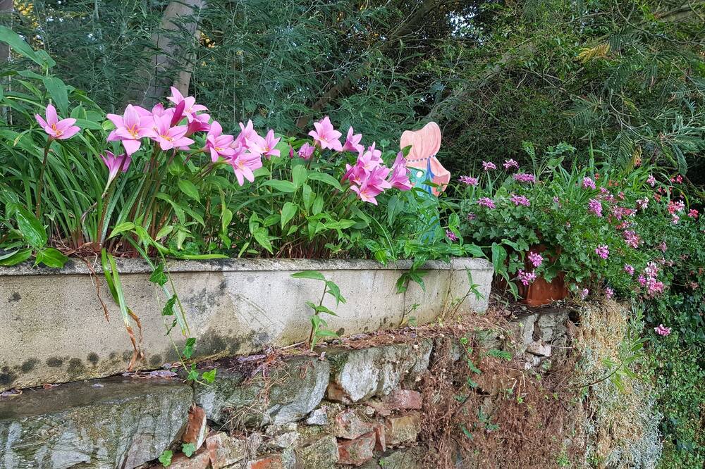 Photo of Outdoor in Grosseto