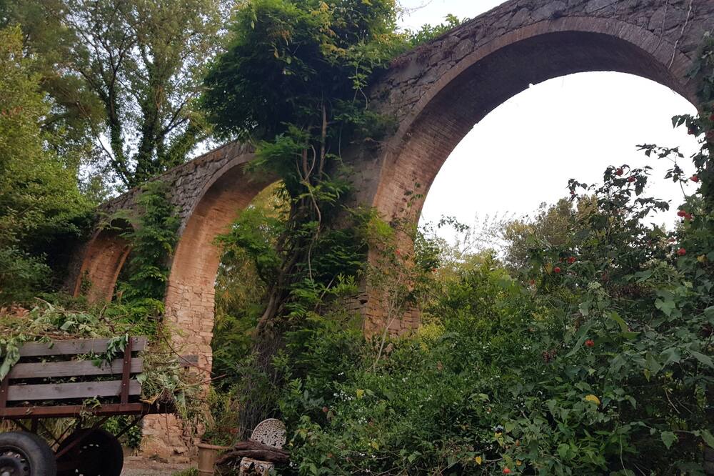 Photo of Outdoor in Grosseto