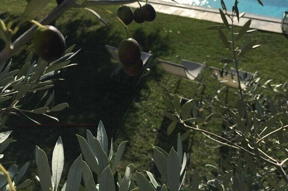 Photo of Outdoor in Pietrauta