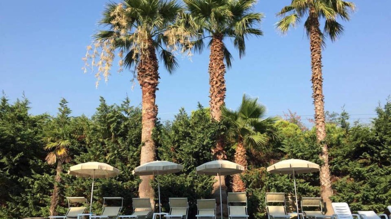 Photo of Outdoor in Marina di Fuscaldo