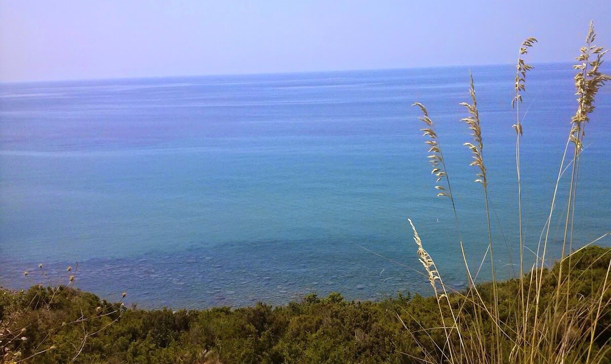 Photo of Others in Marina di Pisciotta