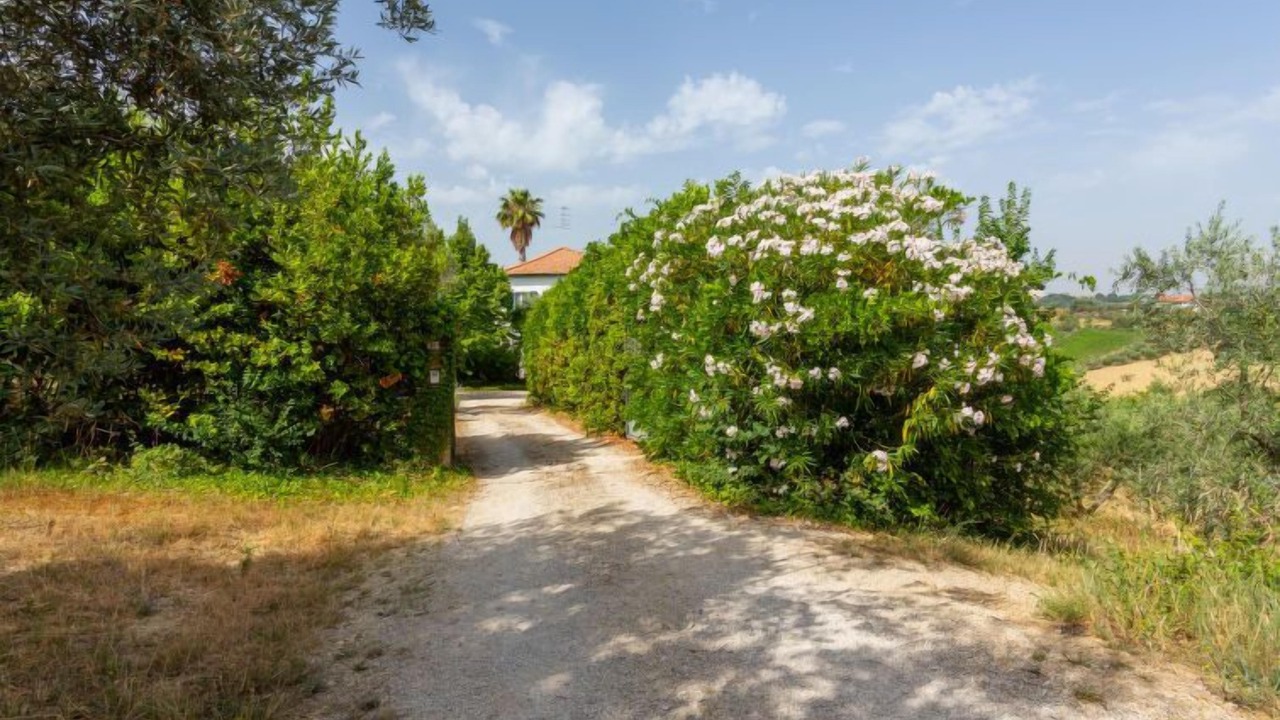 Photo of Outdoor in Tortoreto