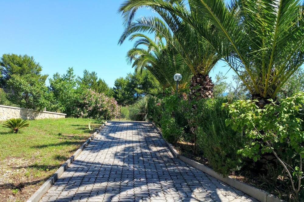 Photo of Outdoor in Montincello