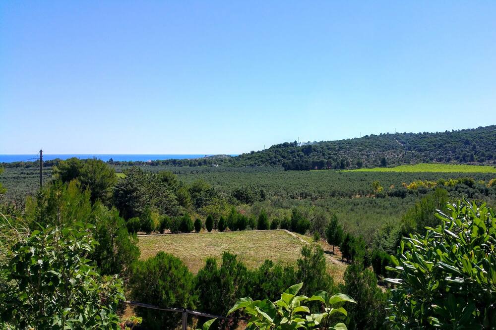 Photo of Outdoor in Montincello